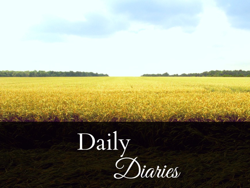 Daily Diaries